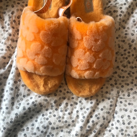 Ugg’s! - Picture 5 of 7